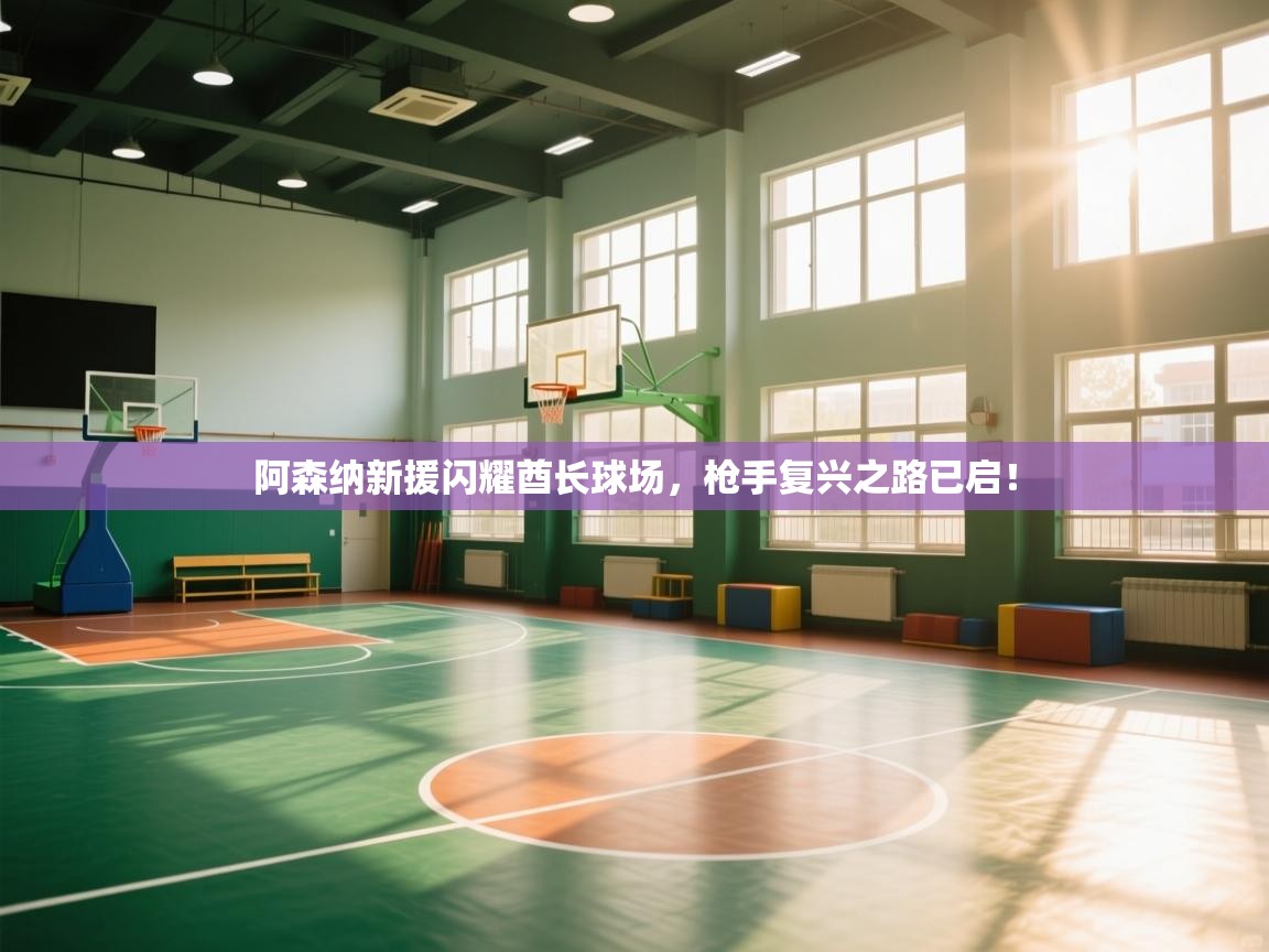 阿森纳新援闪耀酋长球场，枪手复兴之路已启！  第2张