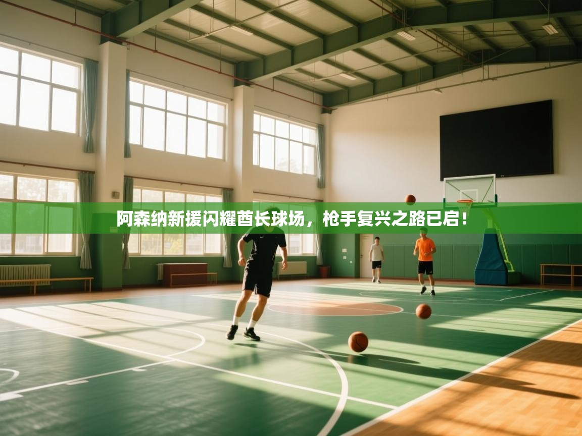 阿森纳新援闪耀酋长球场，枪手复兴之路已启！  第1张